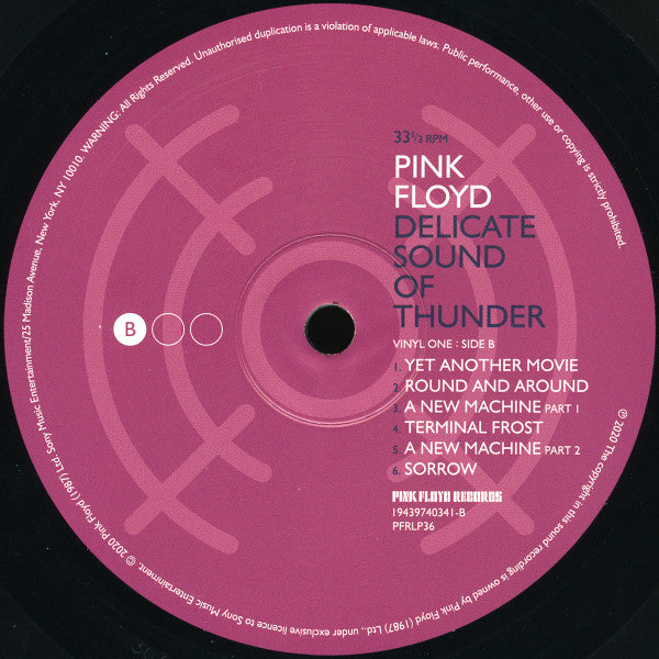 Delicate Sound Of Thunder