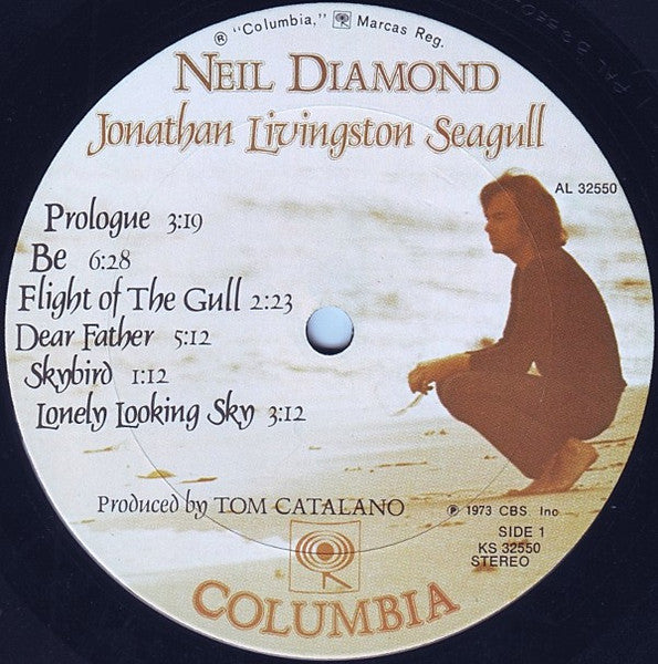 The hall livington seagull