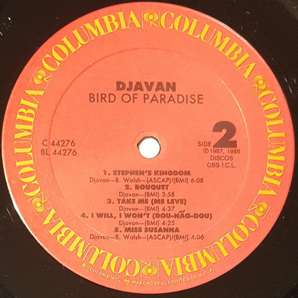 Bird of Paradise