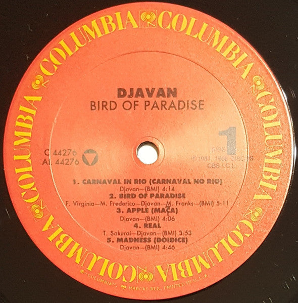Bird of Paradise