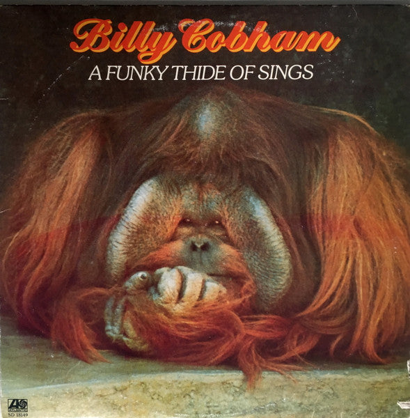 A Funky thide of sings
