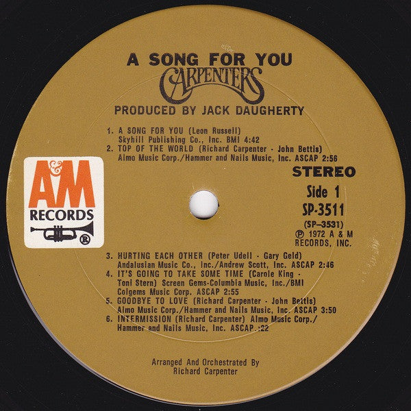 A Song For You