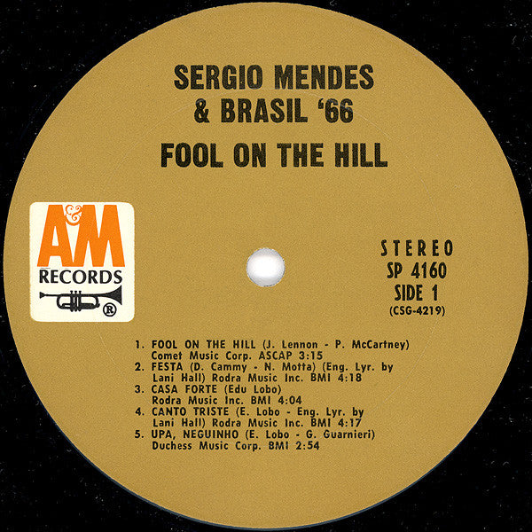 Fool on the hill