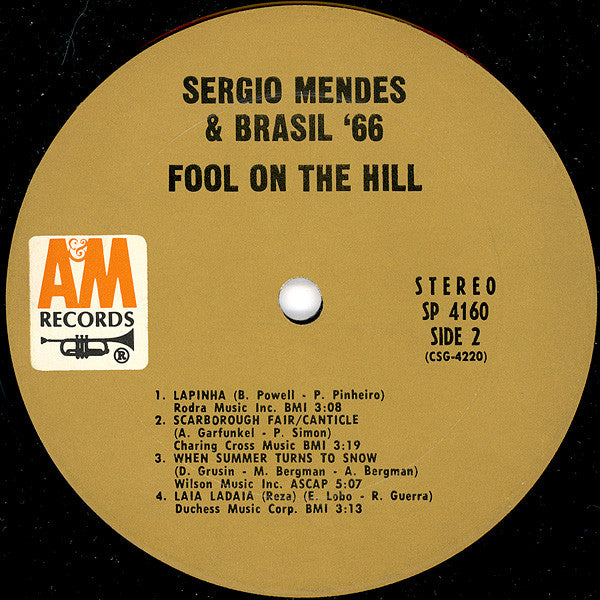 Fool on the hill