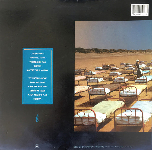 A momentary lapse of reason