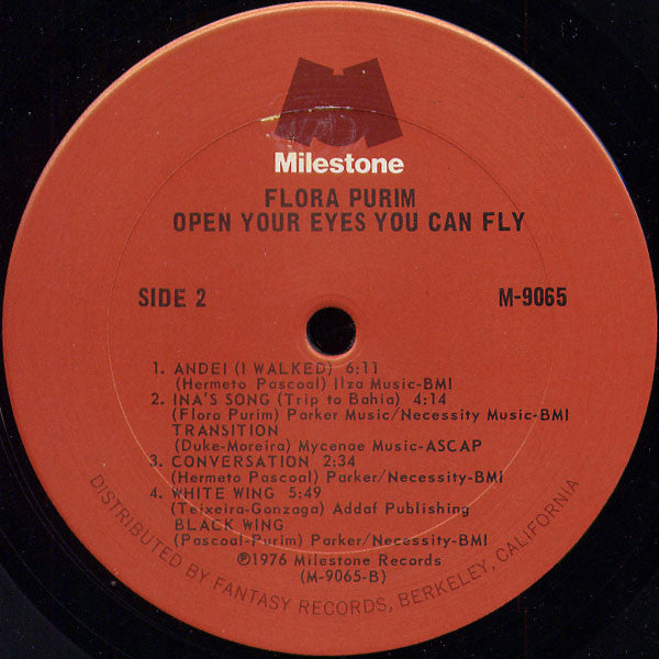 Open your eyes you can fly