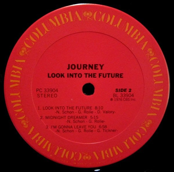 Look into the future